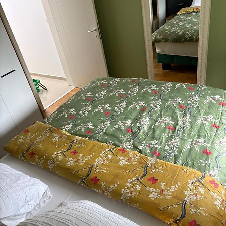 Apartman Diana سريمسكا ميتروفيكا المظهر الخارجي الصورة