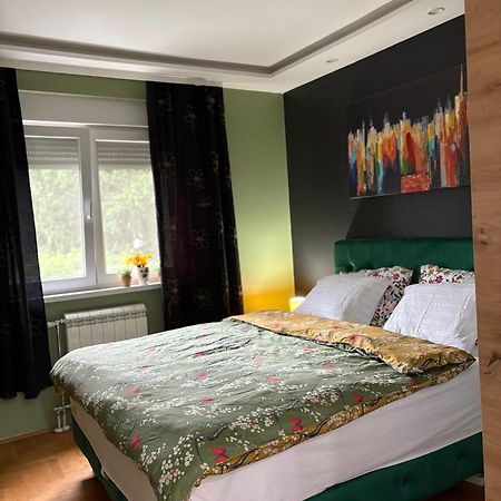Apartman Diana سريمسكا ميتروفيكا المظهر الخارجي الصورة