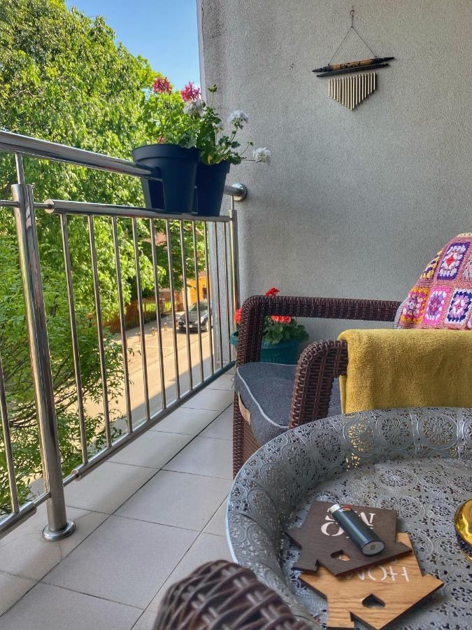 Apartman Diana سريمسكا ميتروفيكا المظهر الخارجي الصورة