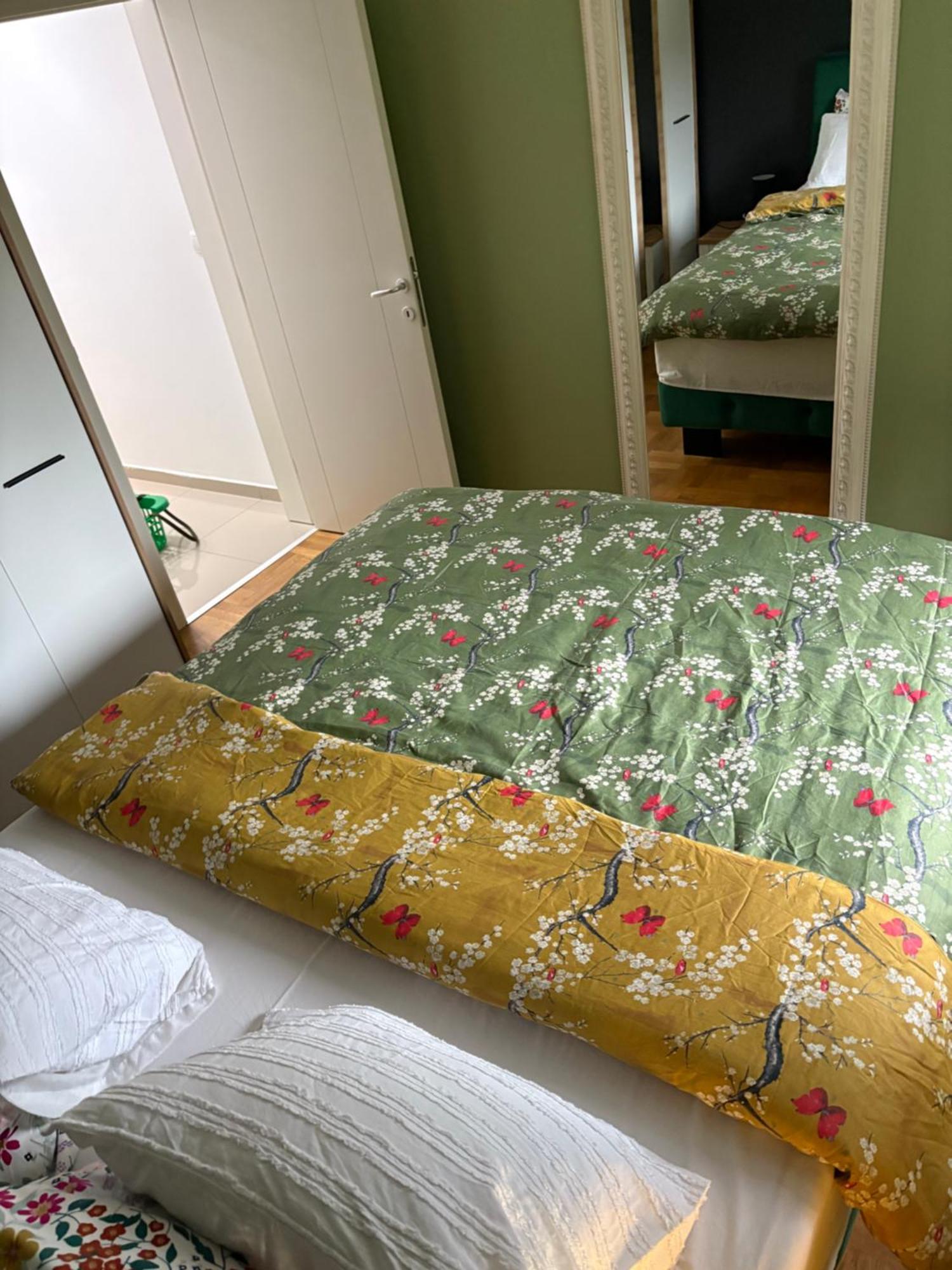 Apartman Diana سريمسكا ميتروفيكا المظهر الخارجي الصورة